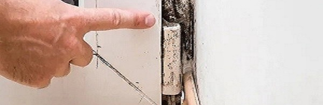 Mould Doctors Cover Image