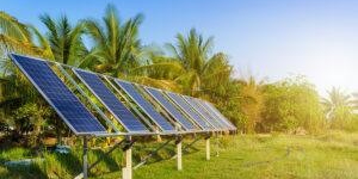 Affordable Solar Installation Services in Kerala with Avansa Future Energy