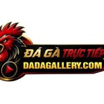 cong danh3979 Profile Picture