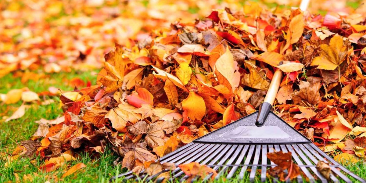 Professional Backyard Remodeling Service Redesign, Rebuild, and Renew