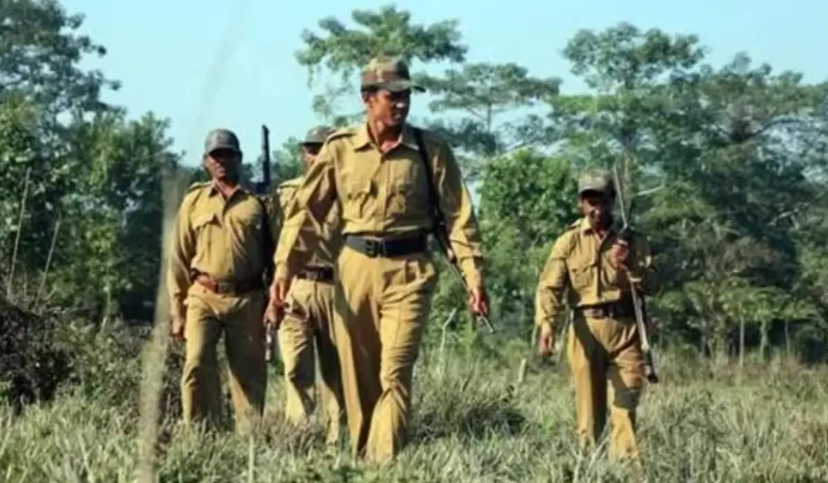 Forest Van Vibhag Vacancy 2026: Complete Guide to Sarkari Job Opportunities in Forest Department – @tasknetworkx on Tumblr