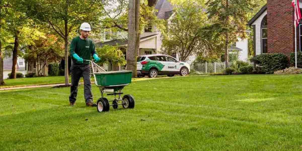 Lawn Care and Maintenance Services in Dallas TX | Expert Yard Care
