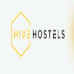 The hive hostel Profile Picture