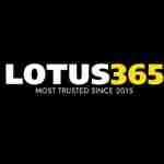 Lotus365 com Profile Picture