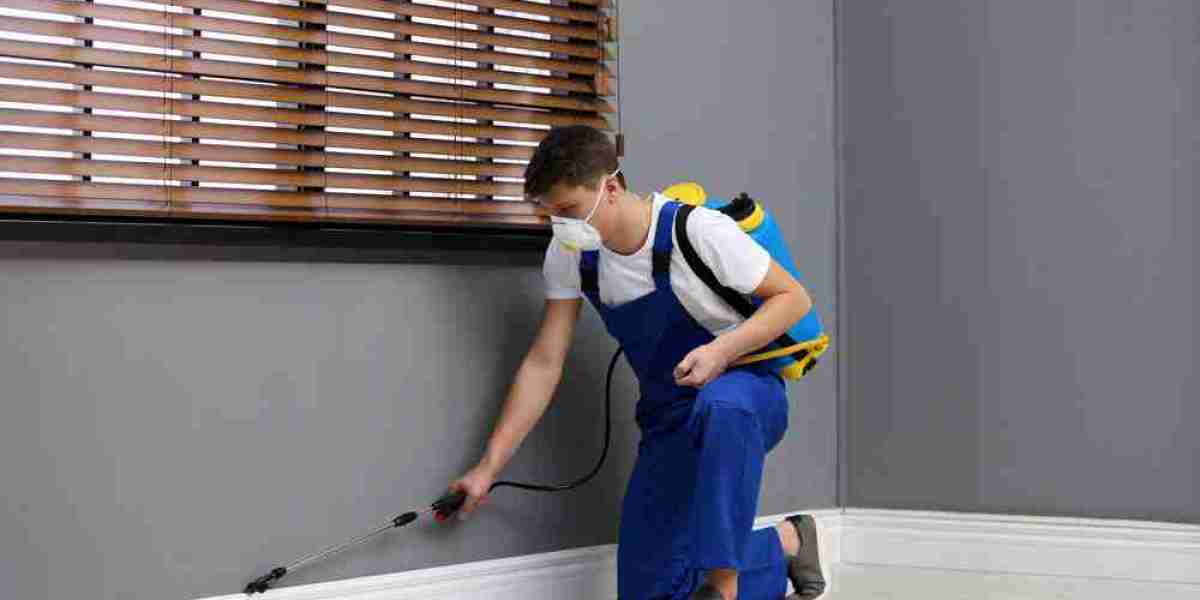 Termite Control in Lahore: Complete Protection for Homes and Businesses