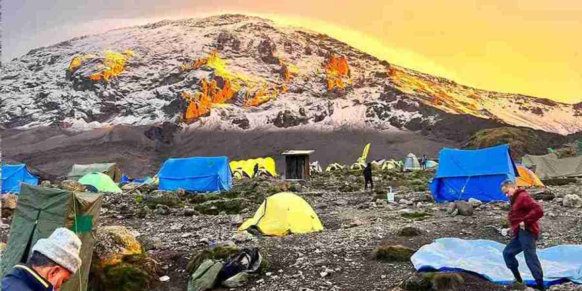 Mount Kilimanjaro Trek 2026: A Practical Guide to Route Selection