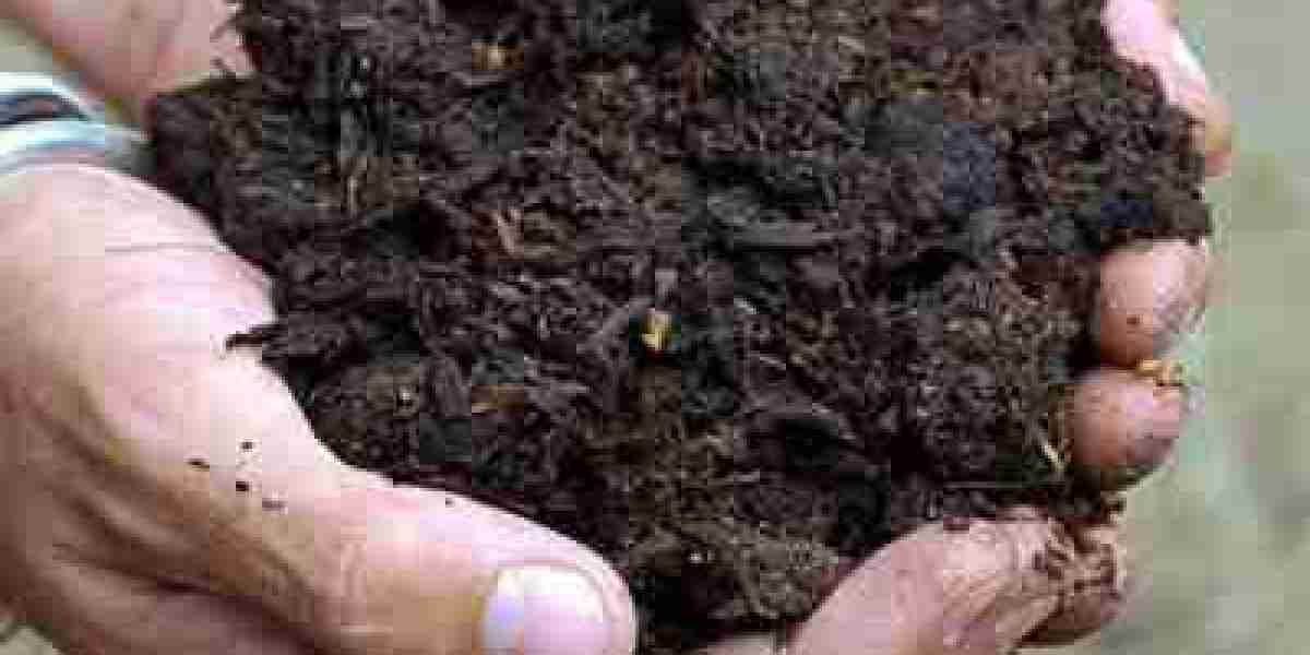 Why Yearly Mulching Is a Smart Investment for Your Garden