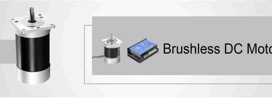 Brushless DC Motors Brushless Inc Cover Image