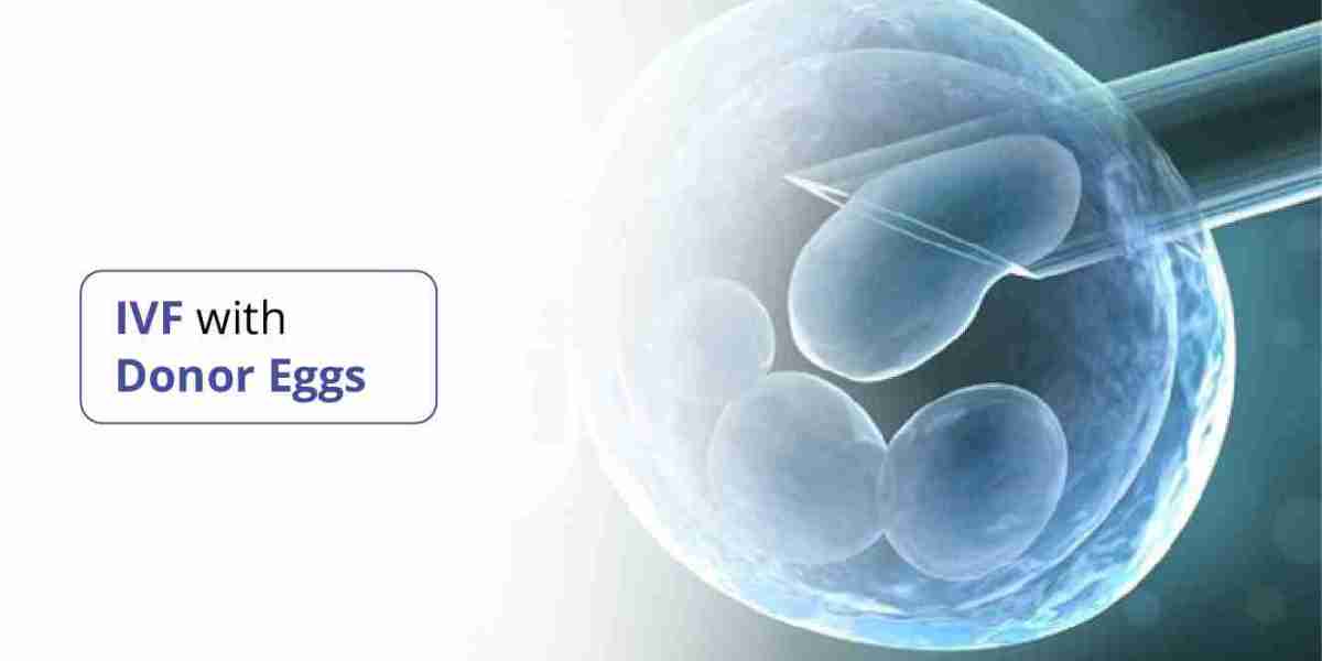 What Is the Risk of Miscarriage by Week? Understanding Donor Egg IVF Success Rates in Australia
