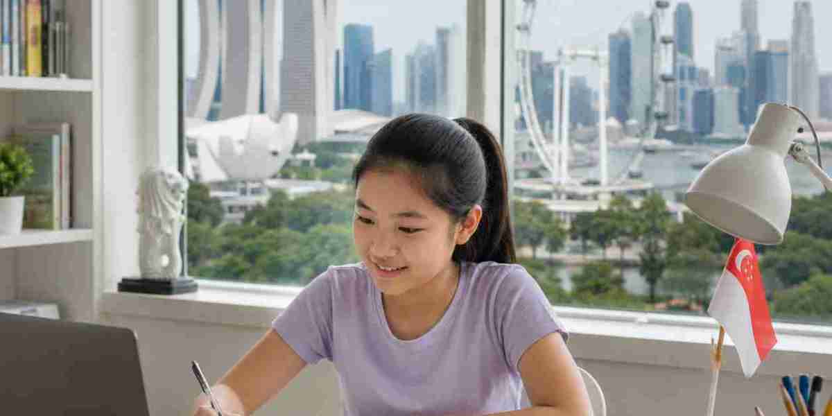 Build Better Study Habits: Simple Ways to Stay Focused and Productive