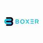 Boxer ICT Profile Picture