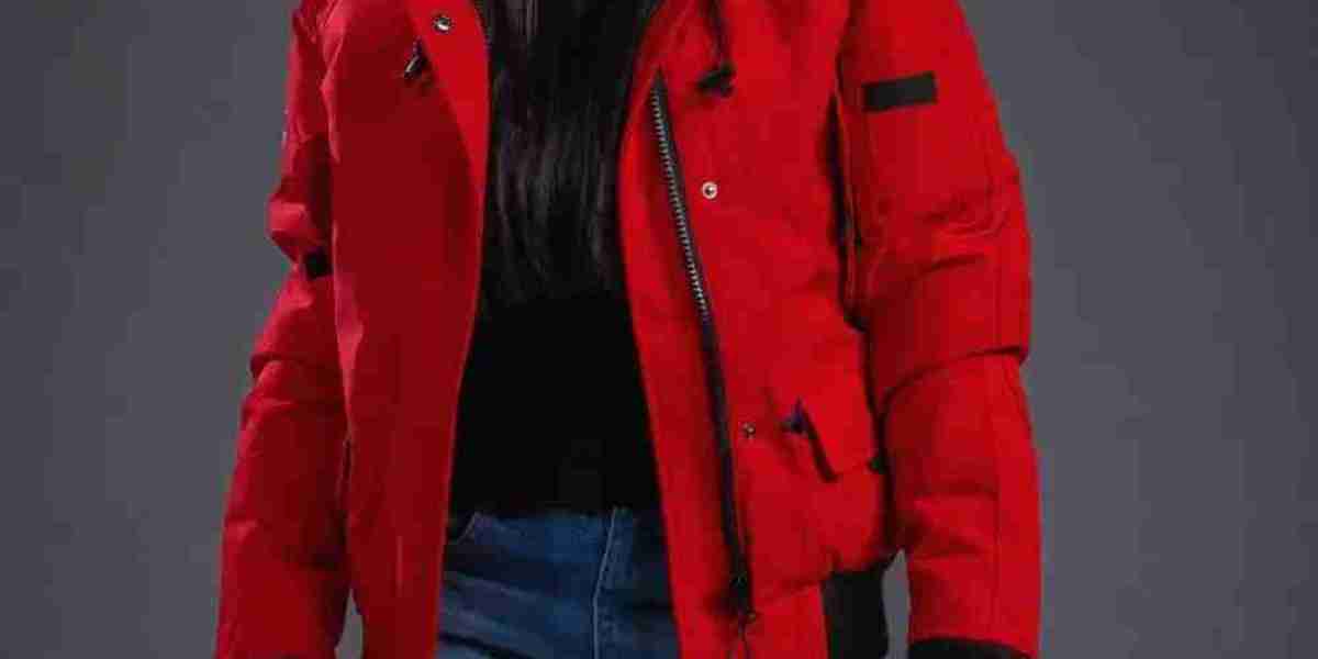 Comment composer un dressing inspiré de Paragoose