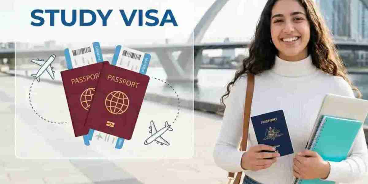 Your Guide to Choosing Study Visa Consultants in Delhi