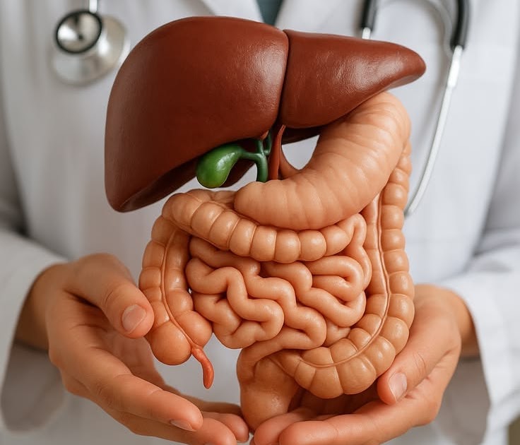 Gastroenterology Products in India and Their Role in Digestive Care