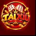 Thống Kê Tài Xỉu Profile Picture