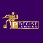 Precise Plumbing and Drain Services Profile Picture