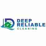 Deep Reliable Cleaning Profile Picture