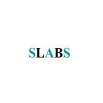SLABS Engineering Profile Picture