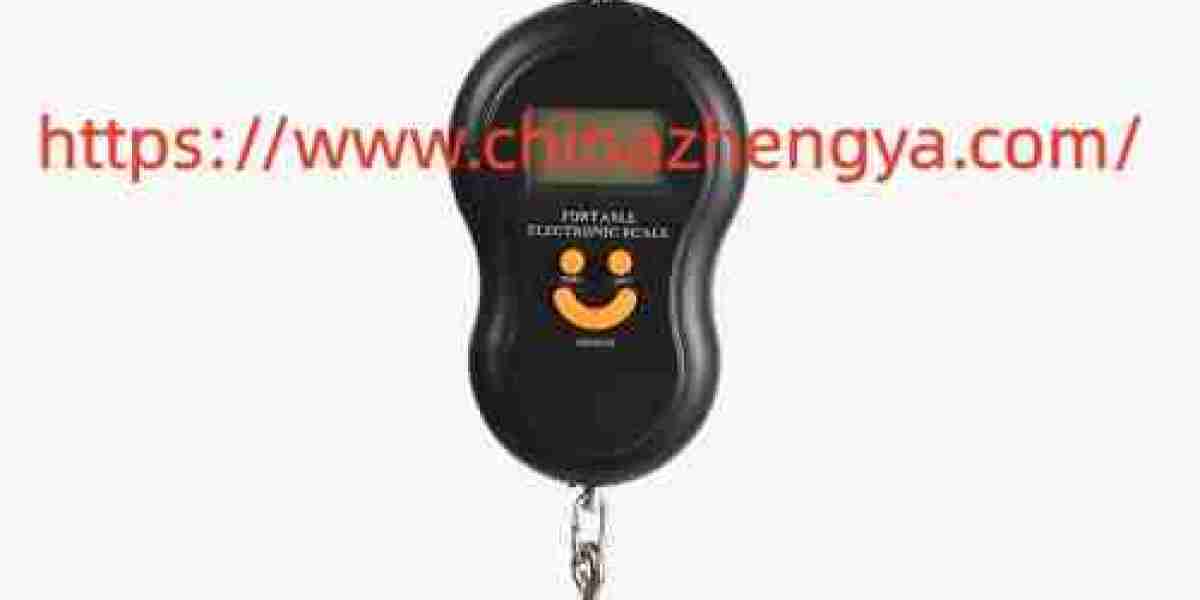 Can Chinazhengya Portable Crane Scale Match Your Daily Weighing Needs