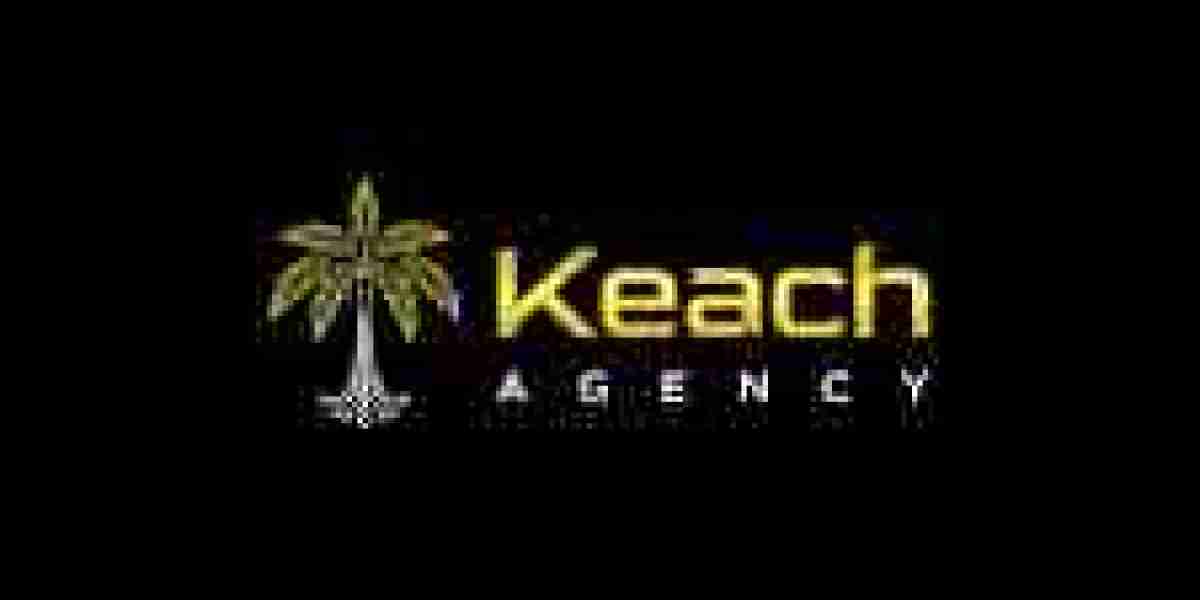 Professional SEO Agency Services for Business Growth