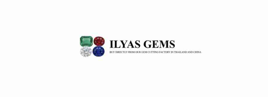 Ilyas Lapidary Cover Image