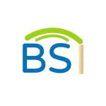 BS interconn Profile Picture